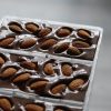 Handcrafted Espresso Bean Brittle - Image 14